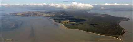 French Island - VIC (PBH4 00 11368)